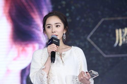 明星黑料爆出来可以洗白吗 网红大秋千,网红大秋千的逆袭之路