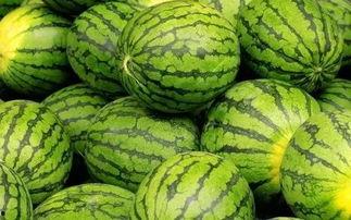 吃瓜是什么意思 每日大赛,网络热词背后的社会现象